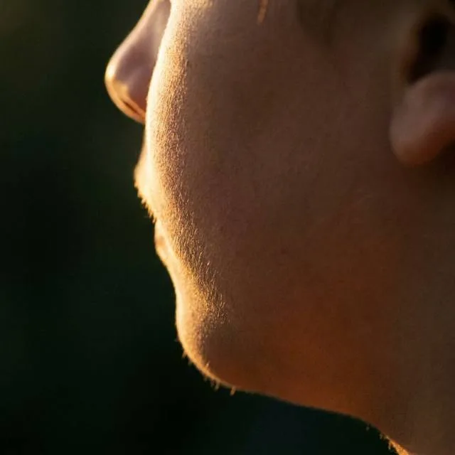 Vellus Backlight